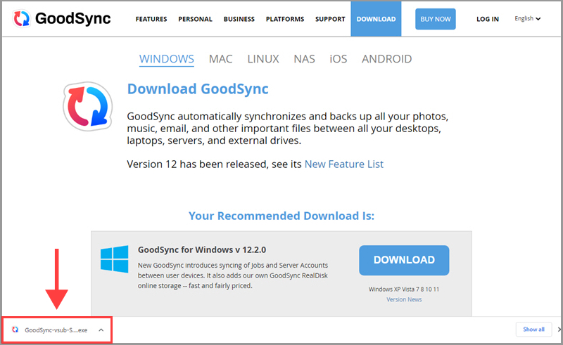 運行 GoodSync Windows 安裝包